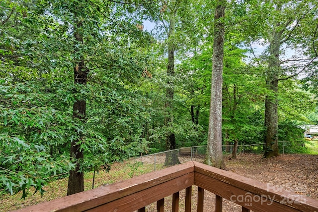 51 Farmstead Rd, Leicester, NC 28748 - photo 26