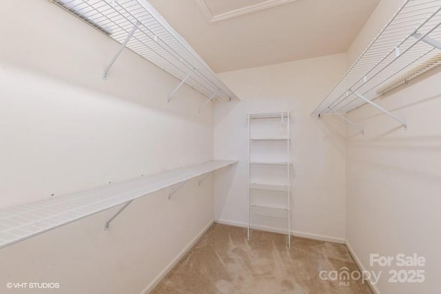 608 Laurel Fork Dr, Matthews, NC 28105 - spacious closet with carpet flooring