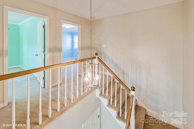 608 Laurel Fork Dr, Matthews, NC 28105 - stairs featuring carpet flooring and baseboards