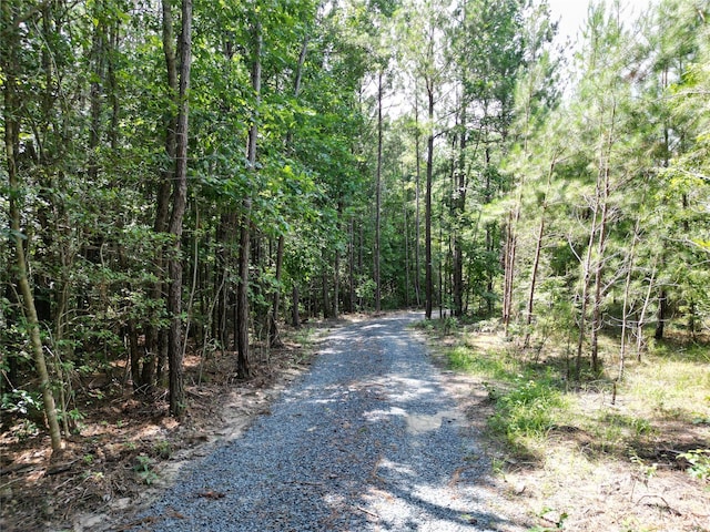 425 Martin Rd, Wadesboro, NC 28170 - photo 5