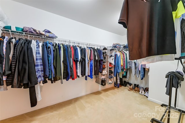 2015 Savannah Hills Dr, Matthews, NC 28105 - walk in closet with carpet floors
