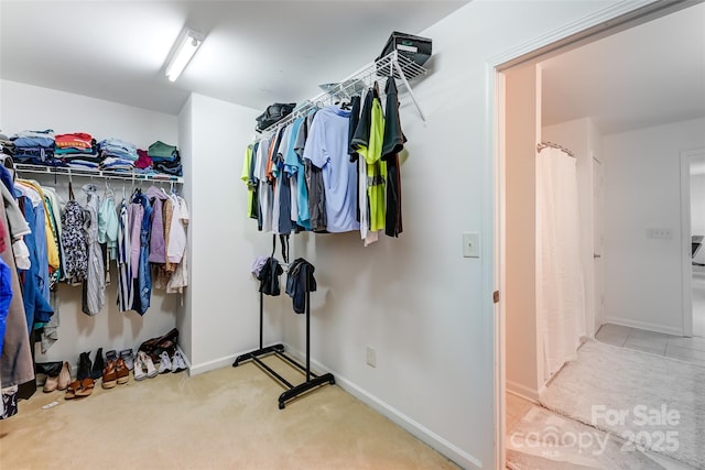 2015 Savannah Hills Dr, Matthews, NC 28105 - walk in closet with carpet floors