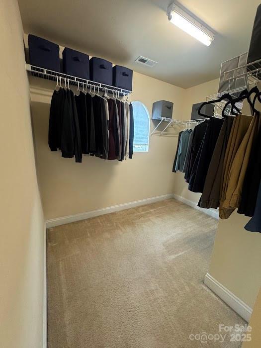9711 Marquette St NW, Concord, NC 28027 - walk in closet with carpet floors