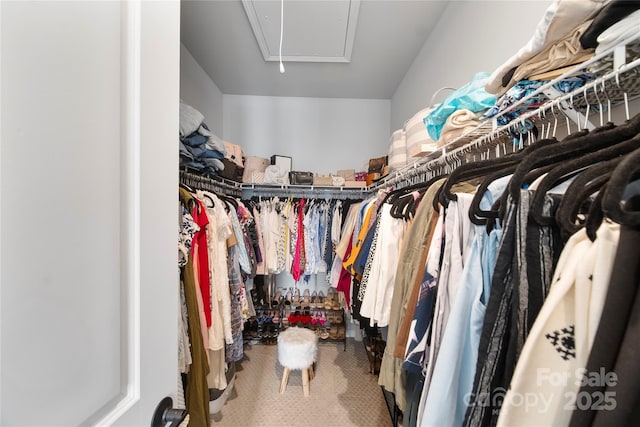 5941 Mantle Way, Kannapolis, NC 28081 - spacious closet with carpet flooring and attic access