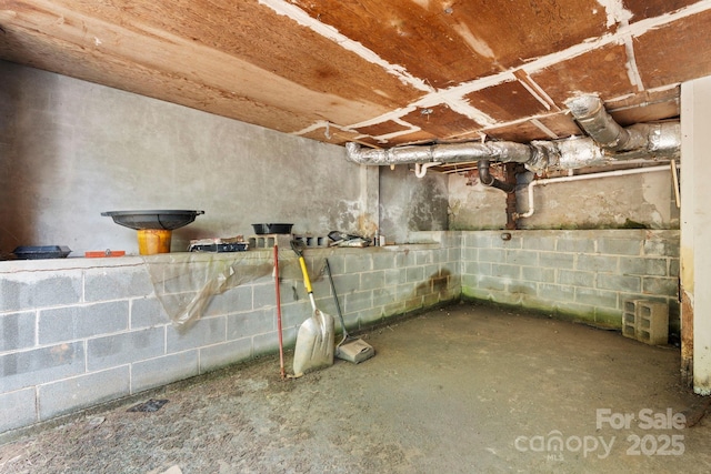 117 3rd Ave SW, Hickory, NC 28602 - view of unfinished below grade area