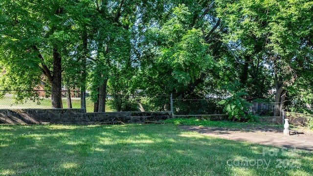 117 3rd Ave SW, Hickory, NC 28602 - view of yard