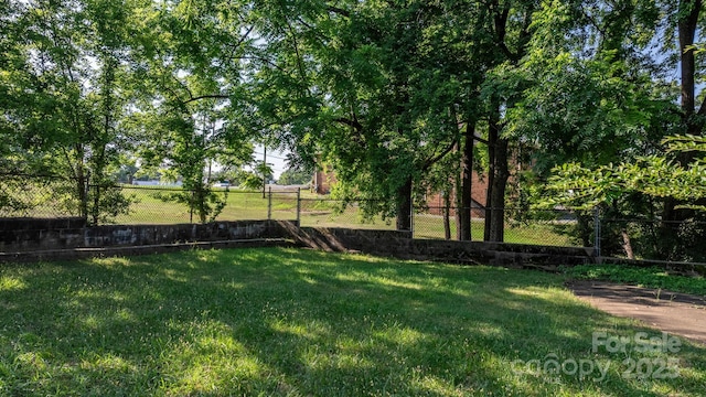 117 3rd Ave SW, Hickory, NC 28602 - view of yard