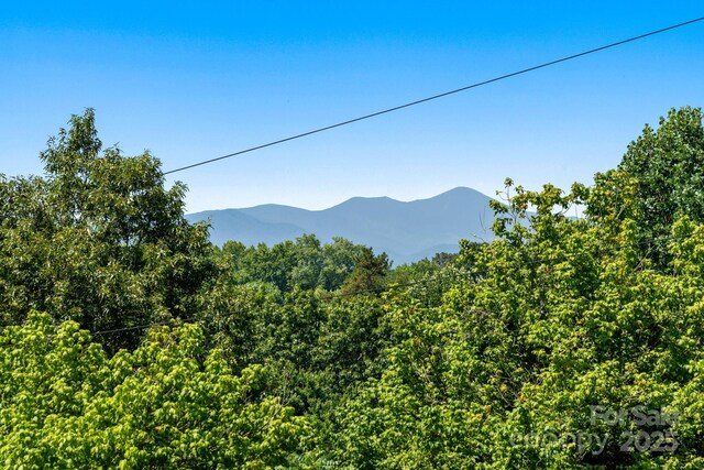 15 Deaver Dr, Asheville, NC 28806 - photo 30
