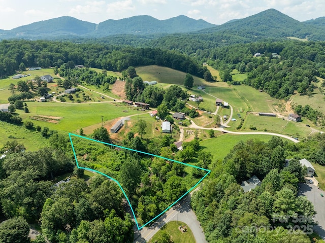 99999 Goughes Branch Rd, Leicester, NC 28748 - photo 1