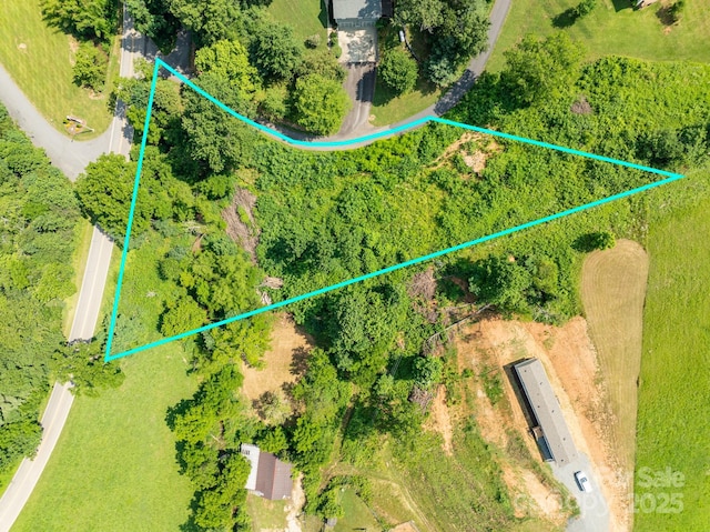 99999 Goughes Branch Rd, Leicester, NC 28748 - photo 2