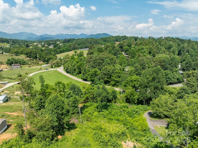 99999 Goughes Branch Rd, Leicester, NC 28748 - photo 4