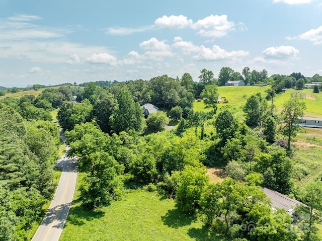 99999 Goughes Branch Rd, Leicester, NC 28748 - photo 5