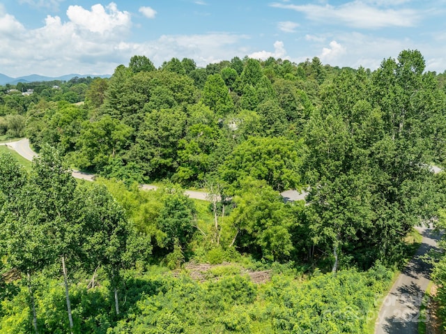 99999 Goughes Branch Rd, Leicester, NC 28748 - photo 7