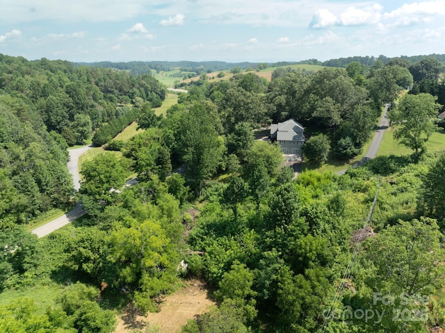 99999 Goughes Branch Rd, Leicester, NC 28748 - photo 8