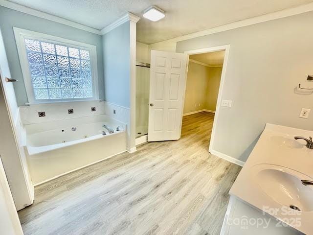 205 Hidden Spring Dr, Salisbury, NC 28147 - bathroom featuring crown molding, a jetted tub, wood finished floors, double vanity, and a shower stall