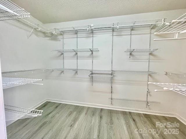 205 Hidden Spring Dr, Salisbury, NC 28147 - spacious closet with wood finished floors