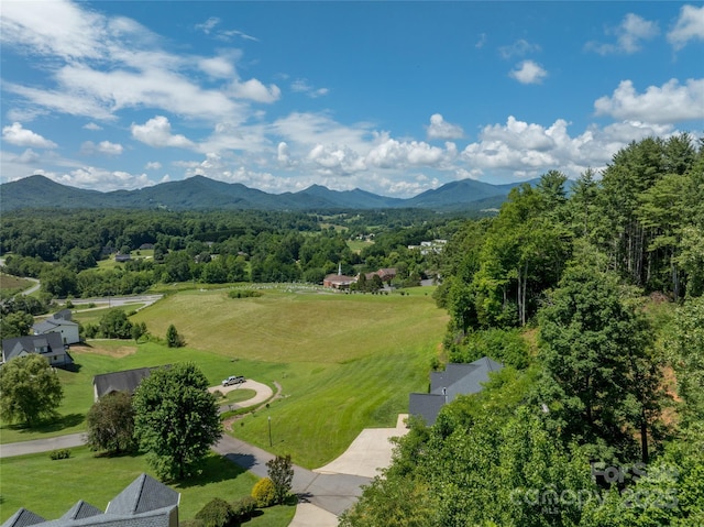 99999 Lawson Ridge Dr Unit 13, Leicester, NC 28748 - photo 3