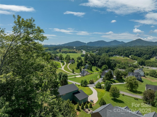 99999 Lawson Ridge Dr Unit 13, Leicester, NC 28748 - photo 5