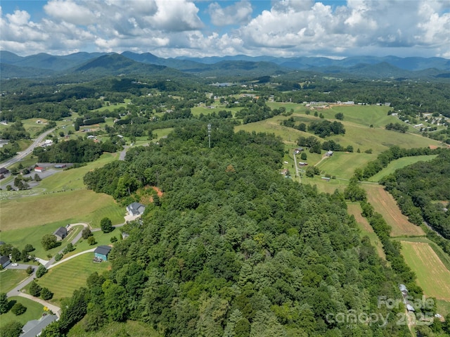 99999 Lawson Ridge Dr Unit 13, Leicester, NC 28748 - photo 6