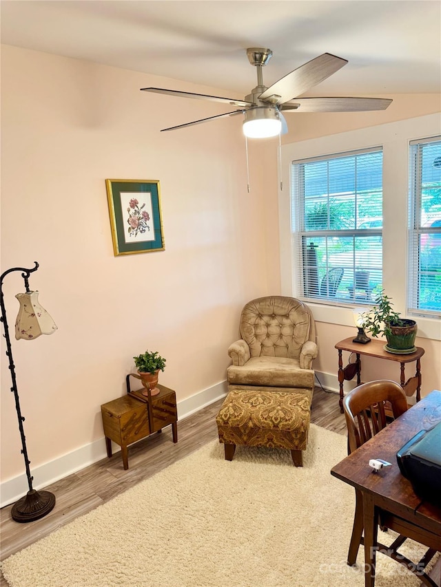 227 Reep Dr, Morganton, NC 28655 - living area featuring ceiling fan and wood finished floors