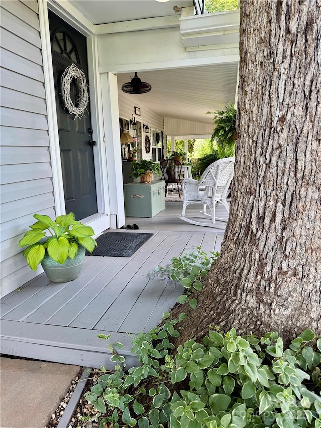 227 Reep Dr, Morganton, NC 28655 - doorway to property featuring a porch
