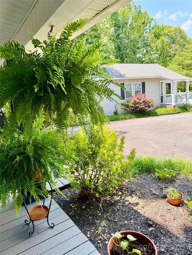 227 Reep Dr, Morganton, NC 28655 - view of yard