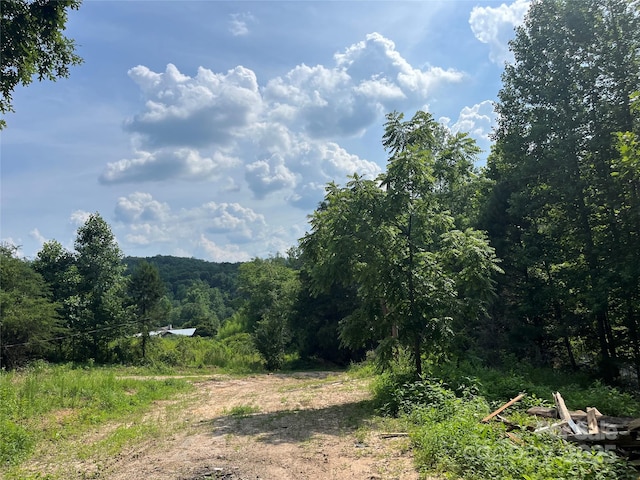 184 Crawford Holw, Rutherfordton, NC 28139 - photo 13