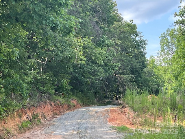 184 Crawford Holw, Rutherfordton, NC 28139 - photo 25