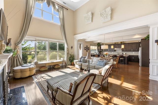 1204 Vaugelas Ct, Monroe, NC 28110 - living area featuring a high ceiling, dark wood-style flooring, and a fireplace