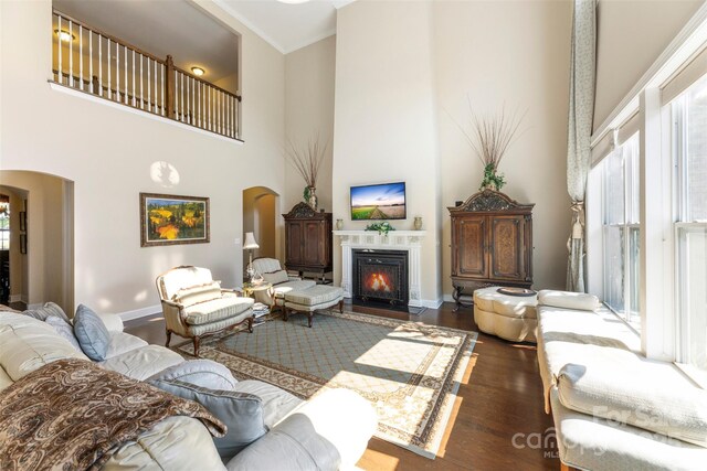 1204 Vaugelas Ct, Monroe, NC 28110 - living room with arched walkways, a towering ceiling, a fireplace with flush hearth, and wood finished floors