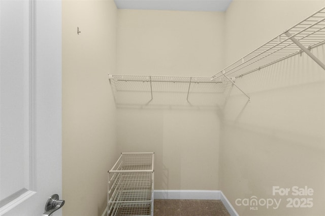 1204 Vaugelas Ct, Monroe, NC 28110 - view of spacious closet