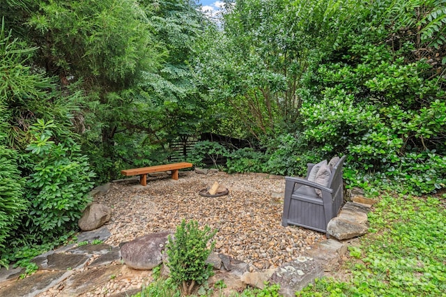 15 Beaverdam Ct, Asheville, NC 28804 - view of yard