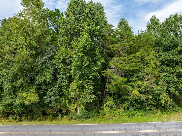TBD Ashworth Rd, Marion, NC 28752 - photo 2