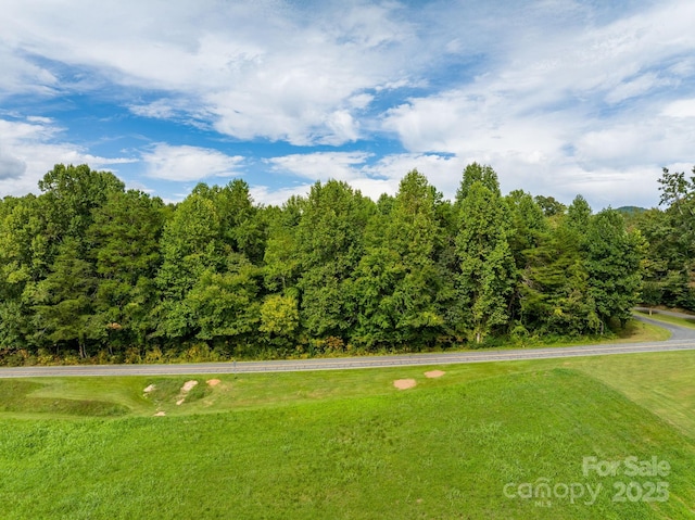 TBD Ashworth Rd, Marion, NC 28752 - photo 14