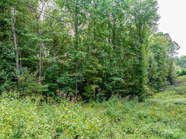 TBD Ashworth Rd, Marion, NC 28752 - photo 23