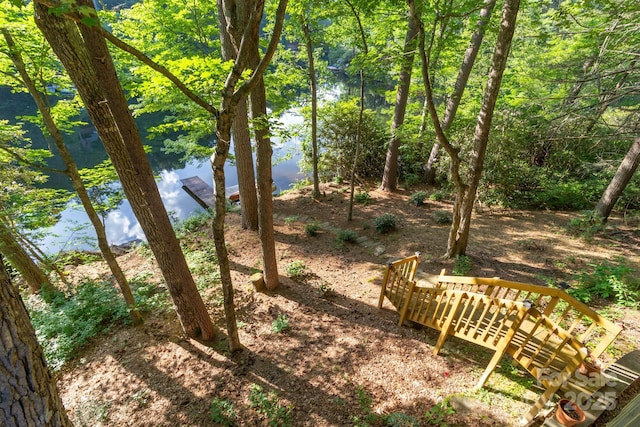 181 Hiwassee Rd, Lake Toxaway, NC 28747 - photo 28