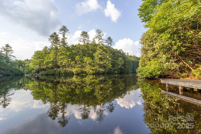 181 Hiwassee Rd, Lake Toxaway, NC 28747 - photo 32