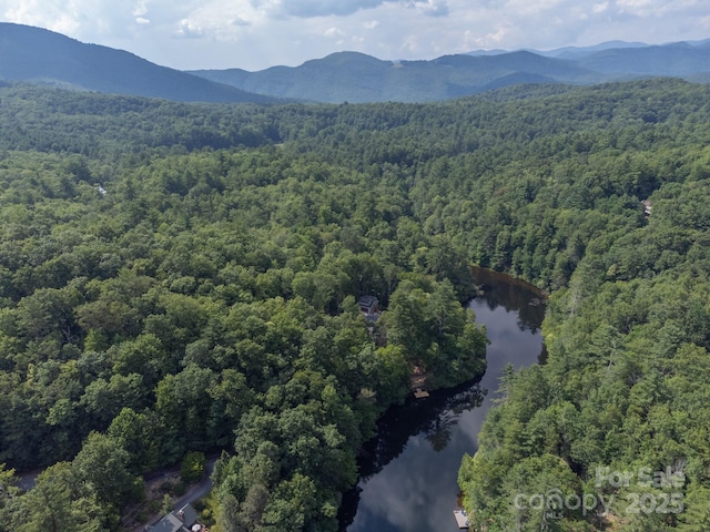 181 Hiwassee Rd, Lake Toxaway, NC 28747 - photo 35