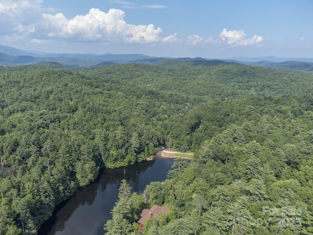 181 Hiwassee Rd, Lake Toxaway, NC 28747 - photo 36