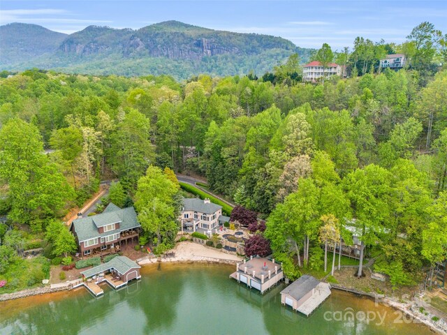 454 Cutaway Rd, Lake Lure, NC 28746 - photo 44