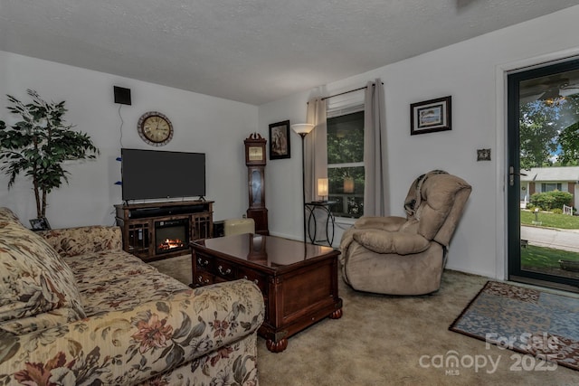 59 Skyview Ter, Asheville, NC 28806 - photo 3