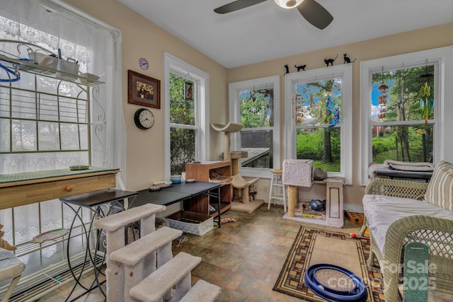 59 Skyview Ter, Asheville, NC 28806 - photo 5