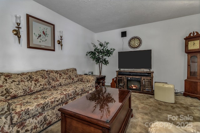 59 Skyview Ter, Asheville, NC 28806 - photo 27