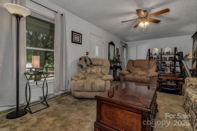 59 Skyview Ter, Asheville, NC 28806 - photo 29