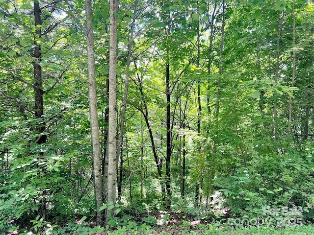 521 Signal Rdg, Sylva, NC 28779
