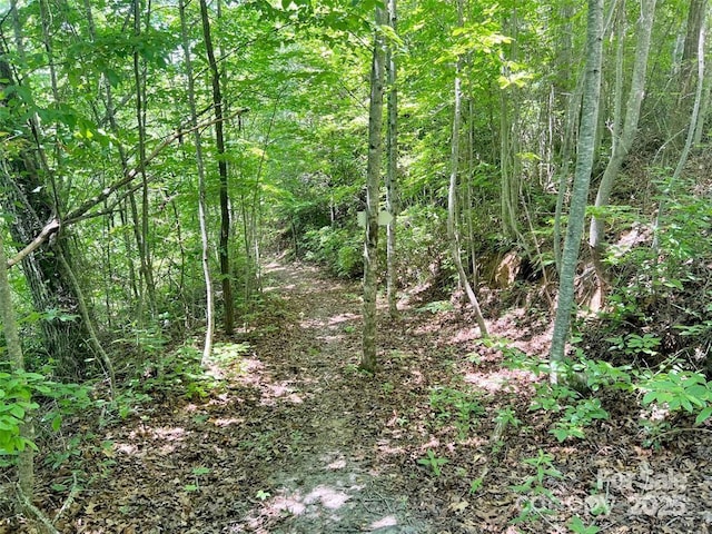 521 Signal Rdg, Sylva, NC 28779