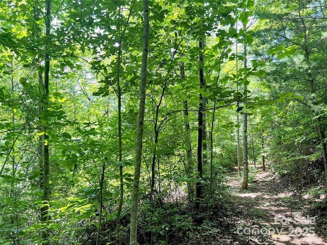 521 Signal Rdg, Sylva, NC 28779