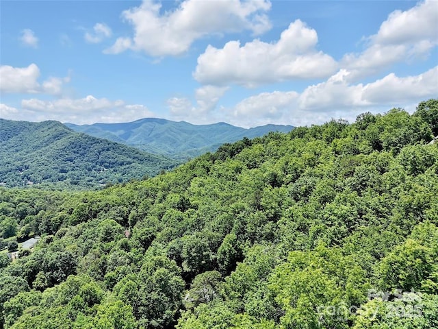 521 Signal Rdg, Sylva, NC 28779