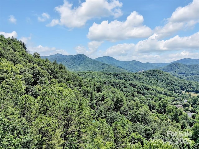 521 Signal Rdg, Sylva, NC 28779