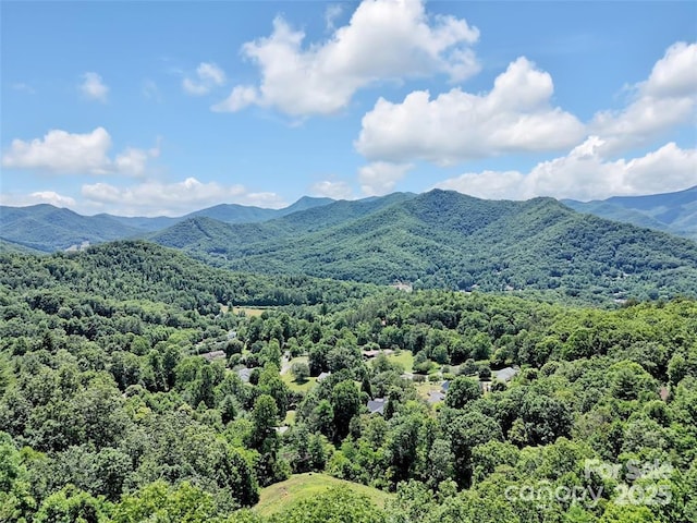 521 Signal Rdg, Sylva, NC 28779